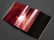 Load image into Gallery viewer, LP - Château Faux-Coupe
